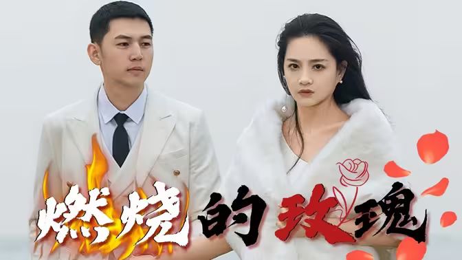 视频三区 - HD720高清免费国语